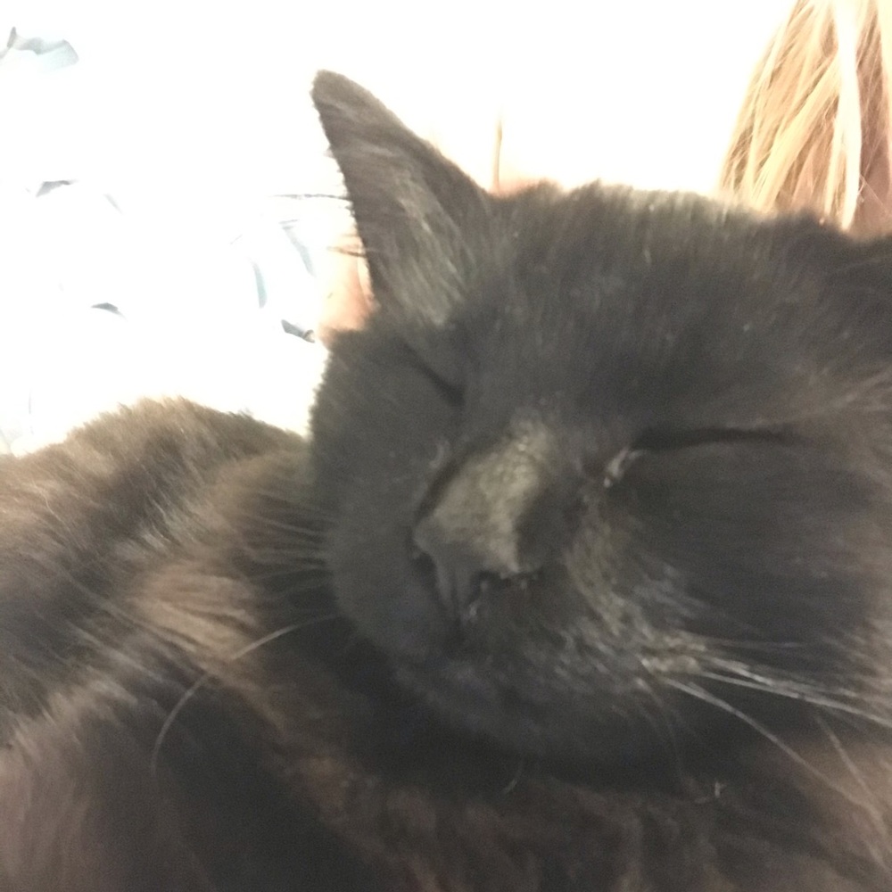 Meet your Posher, Kenna